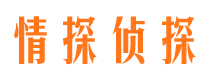 荣县侦探公司